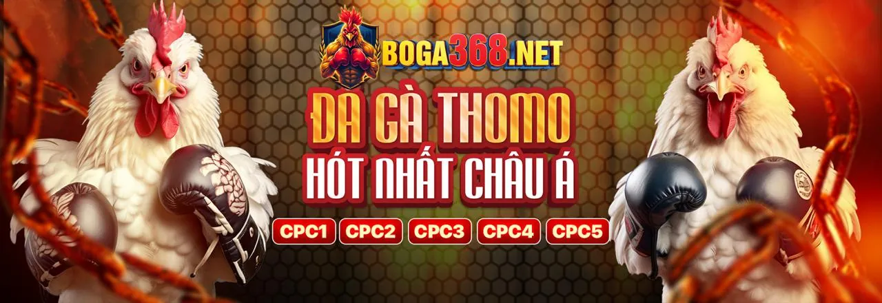 Đấu trường đá gà 88aa game sôi động